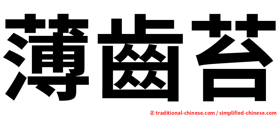 薄齒苔