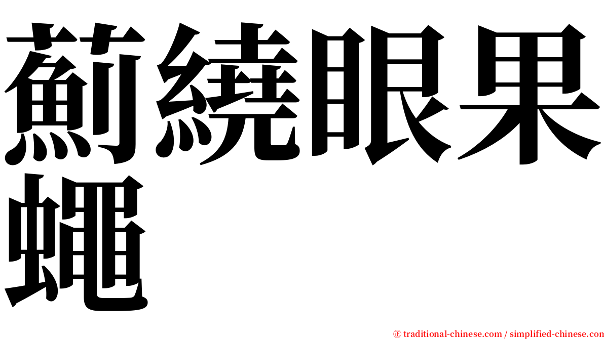 薊繞眼果蠅 serif font