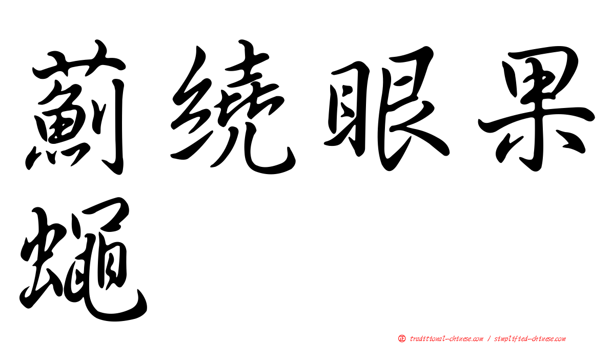薊繞眼果蠅