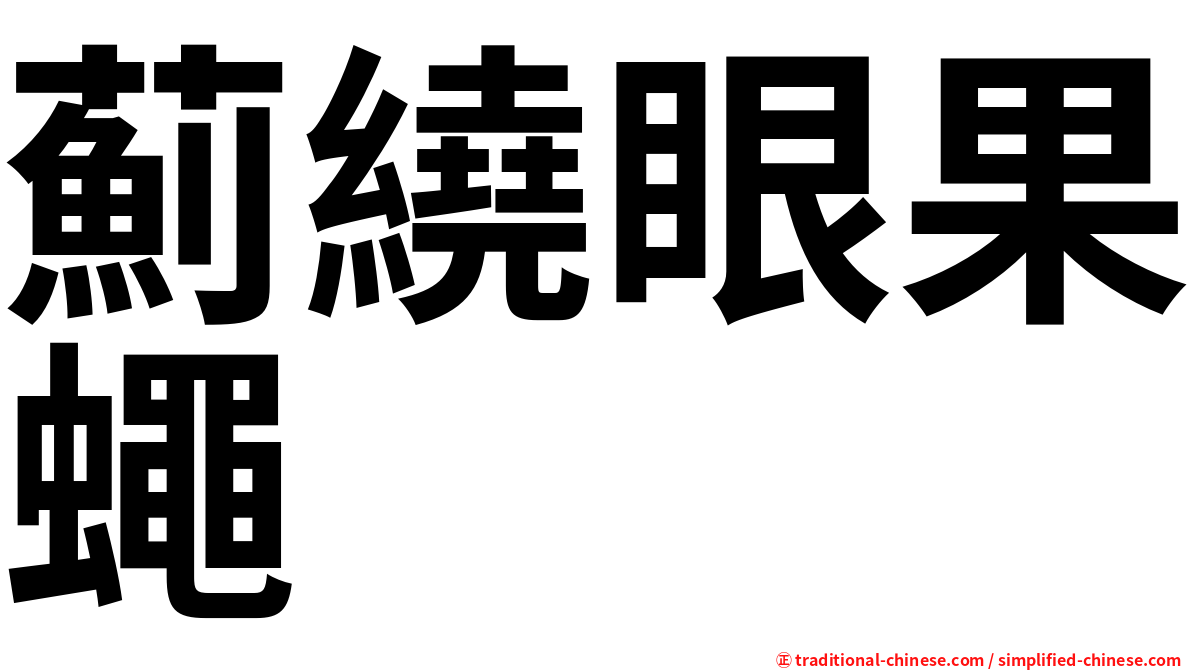 薊繞眼果蠅