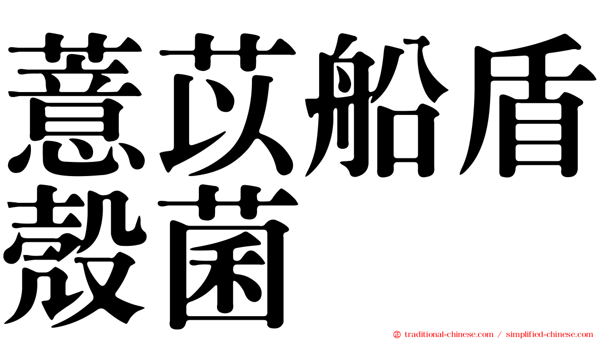 薏苡船盾殼菌