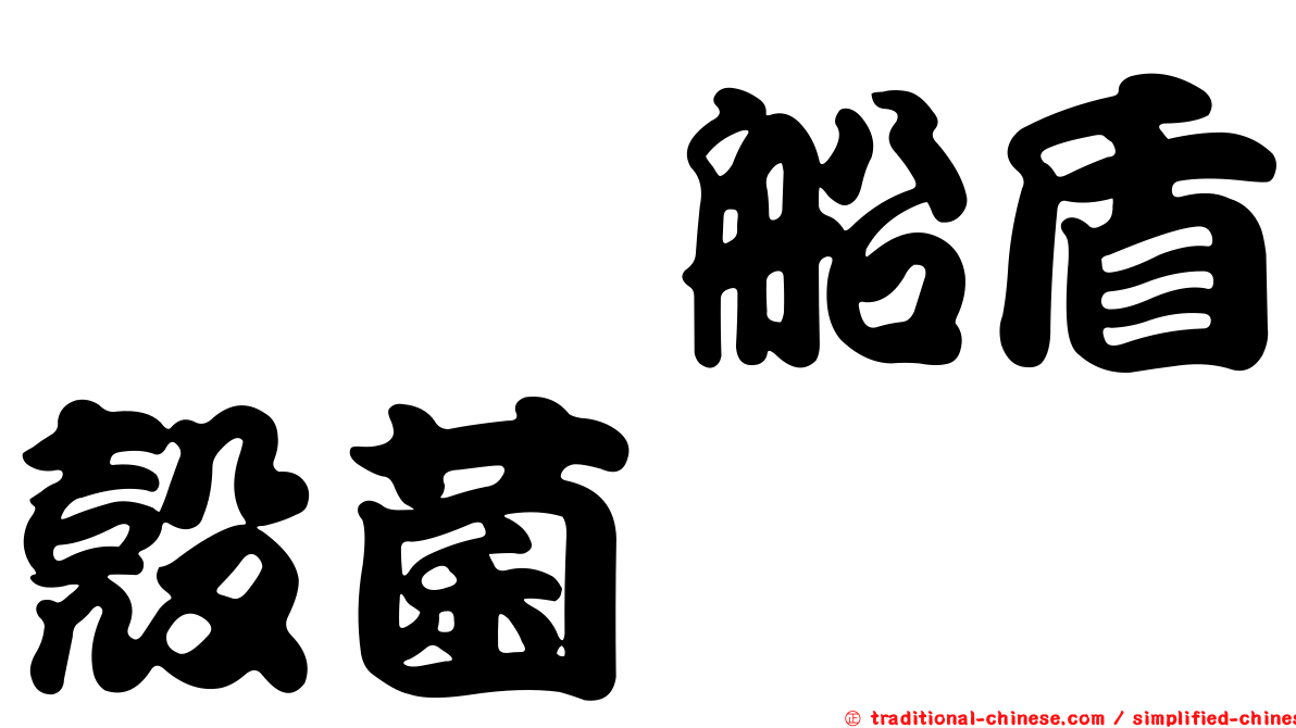 薏苡船盾殼菌