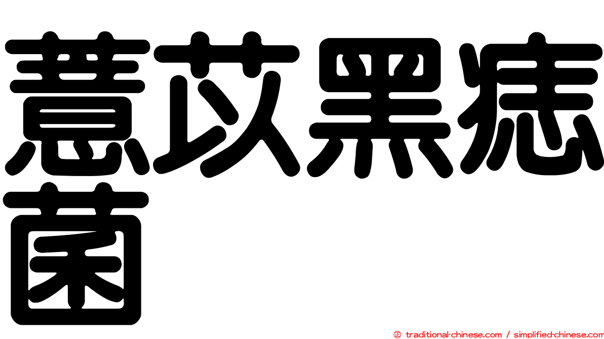 薏苡黑痣菌