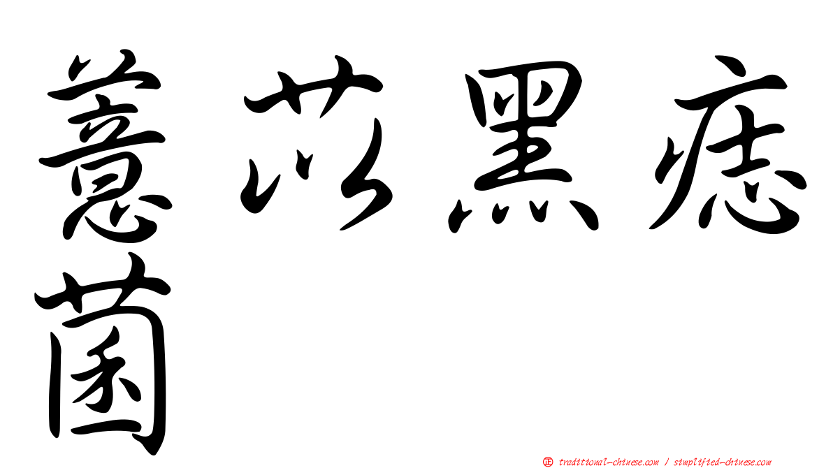 薏苡黑痣菌