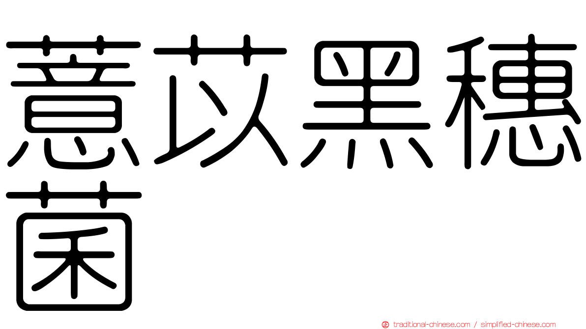 薏苡黑穗菌