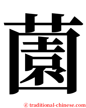 薗 serif font