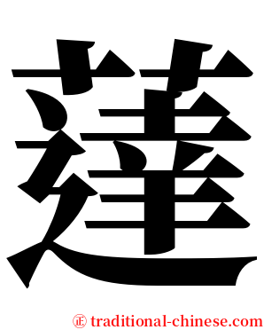 薘 serif font