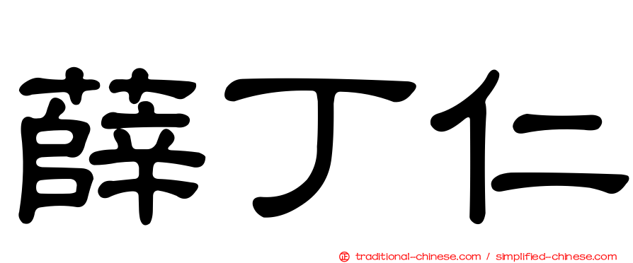 薛丁仁