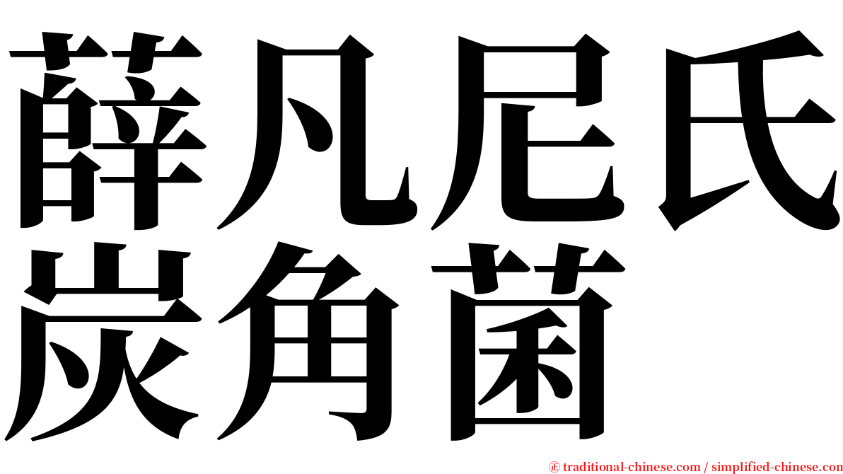 薛凡尼氏炭角菌 serif font