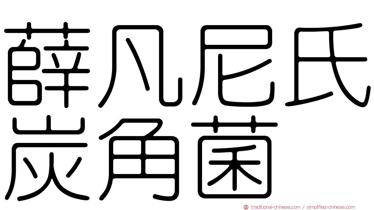 薛凡尼氏炭角菌