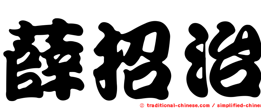 薛招治