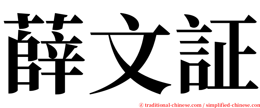 薛文証 serif font