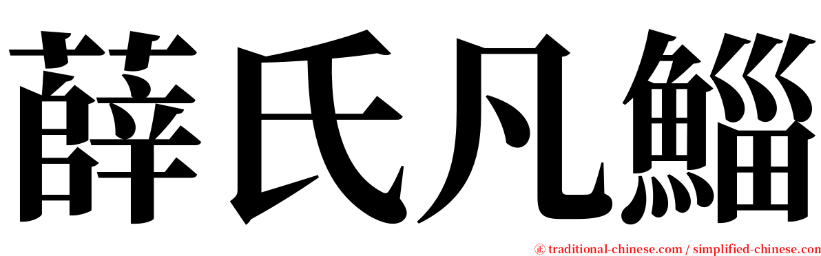薛氏凡鯔 serif font
