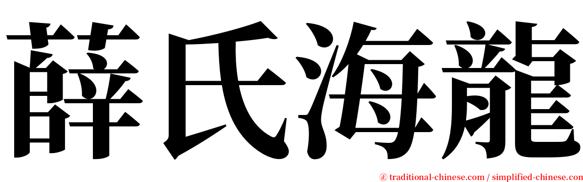 薛氏海龍 serif font