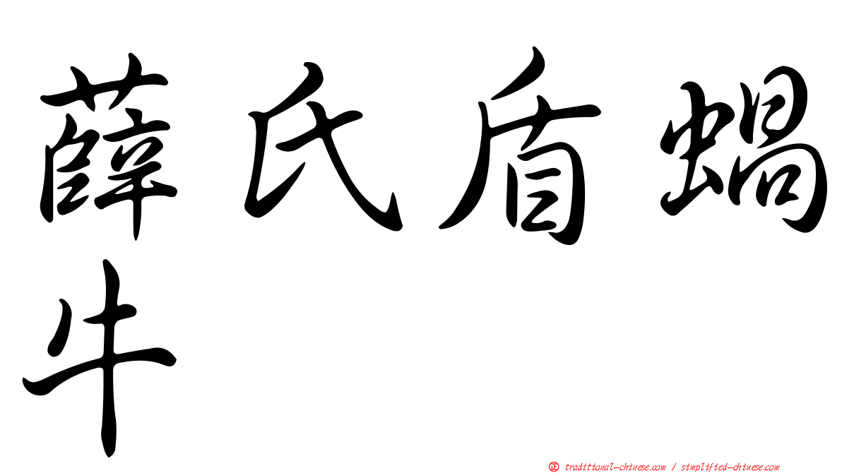 薛氏盾蝸牛