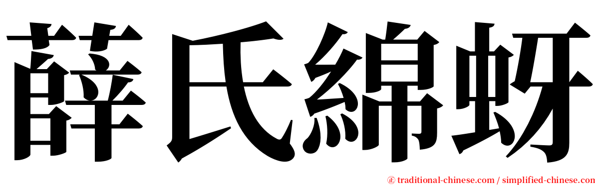 薛氏綿蚜 serif font