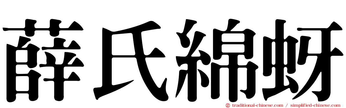 薛氏綿蚜