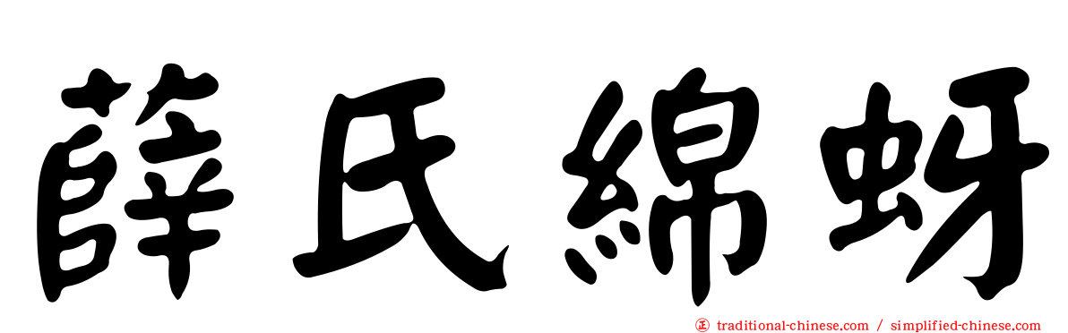 薛氏綿蚜
