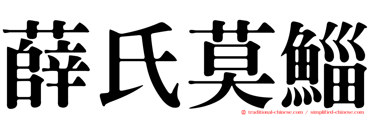薛氏莫鯔