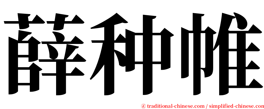 薛种帷 serif font