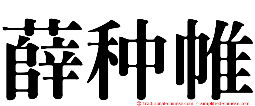 薛种帷