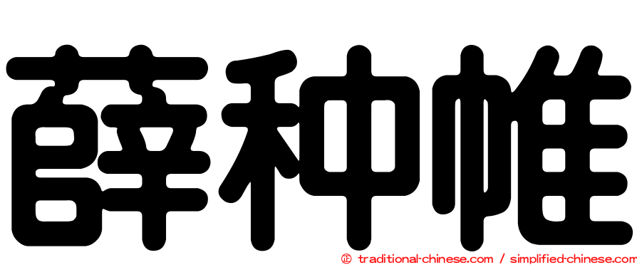 薛种帷