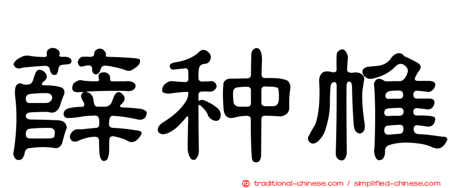 薛种帷