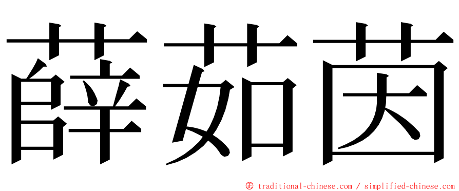薛茹茵 ming font