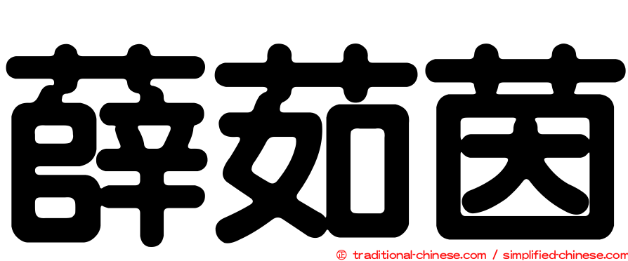 薛茹茵