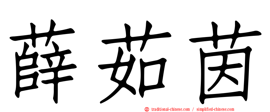 薛茹茵