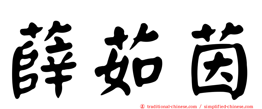 薛茹茵