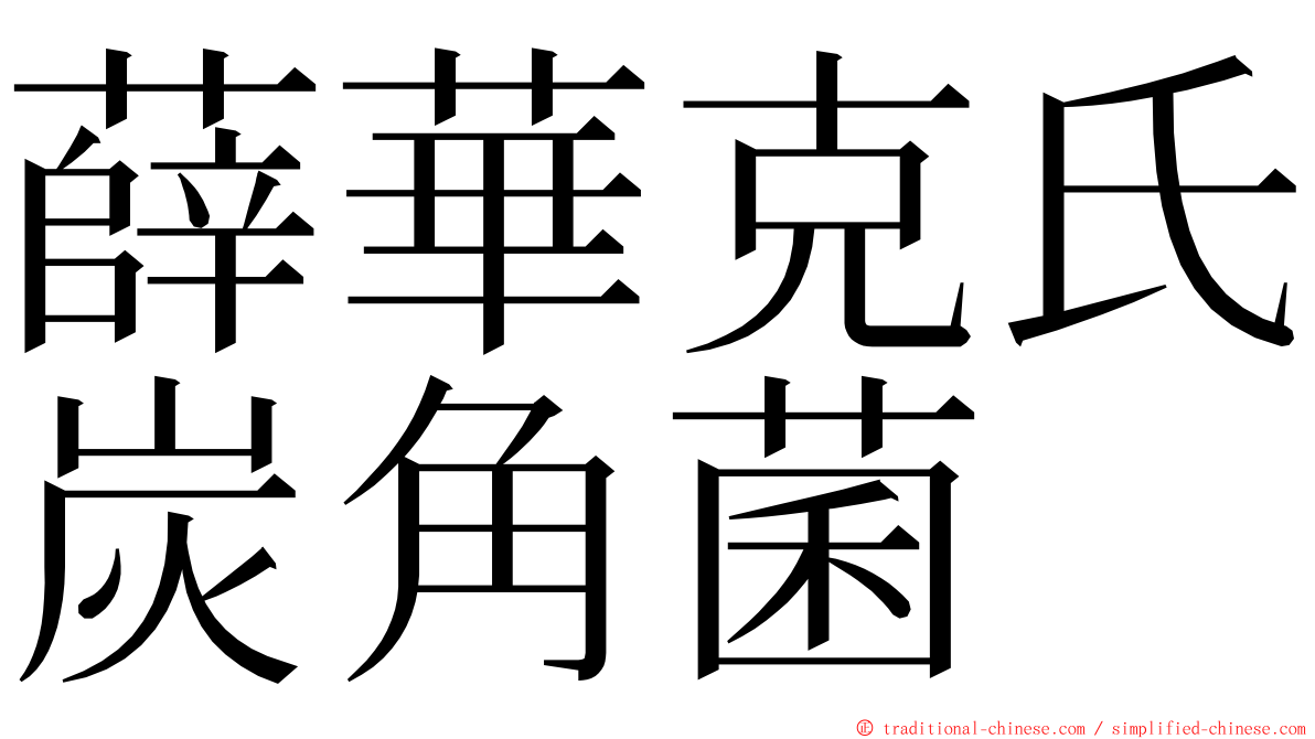 薛華克氏炭角菌 ming font
