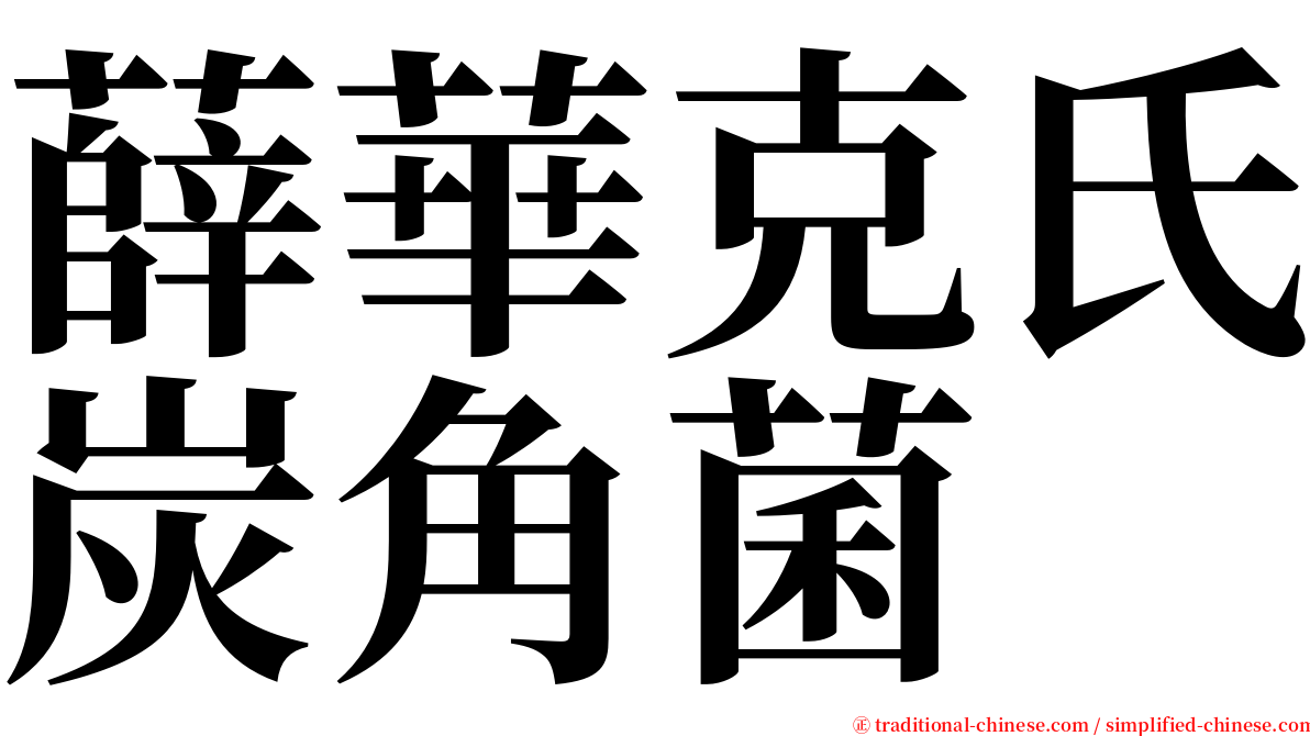 薛華克氏炭角菌 serif font