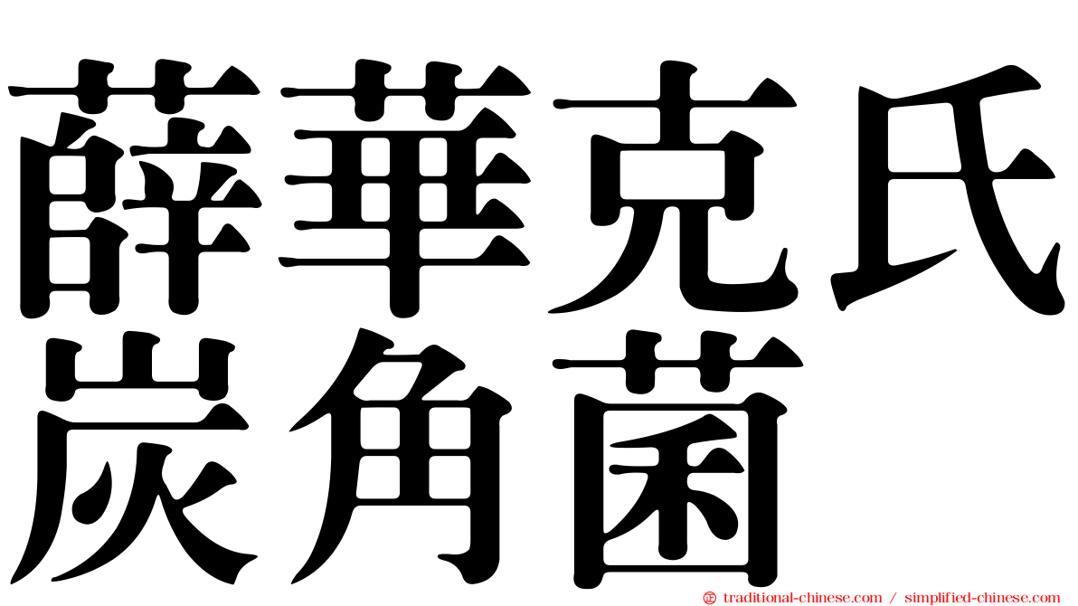 薛華克氏炭角菌