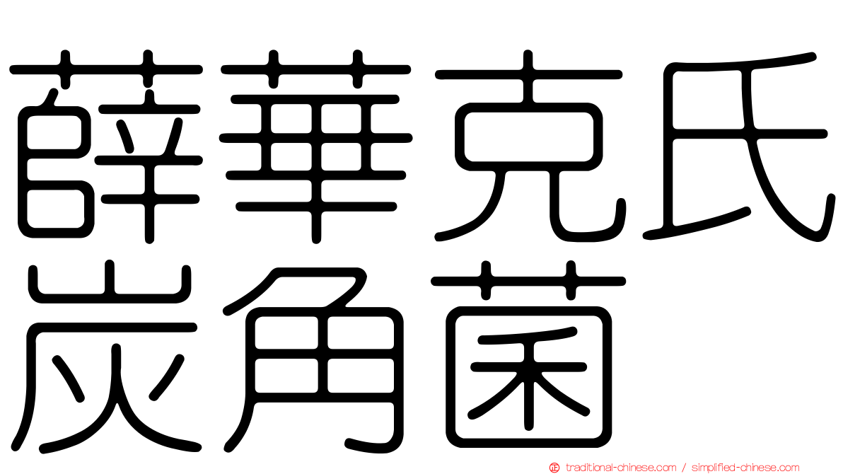 薛華克氏炭角菌