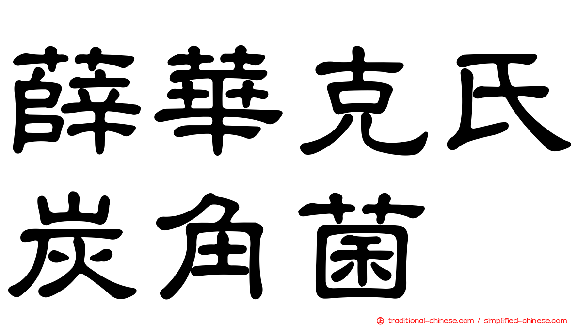 薛華克氏炭角菌