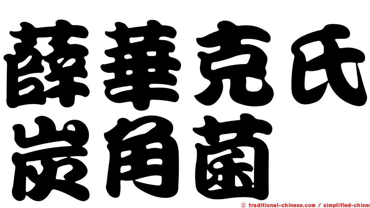 薛華克氏炭角菌