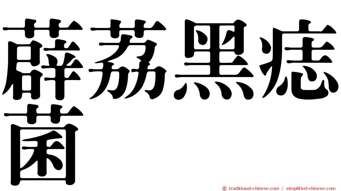 薜荔黑痣菌