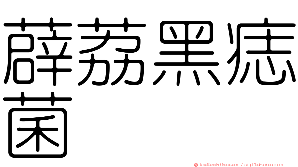 薜荔黑痣菌