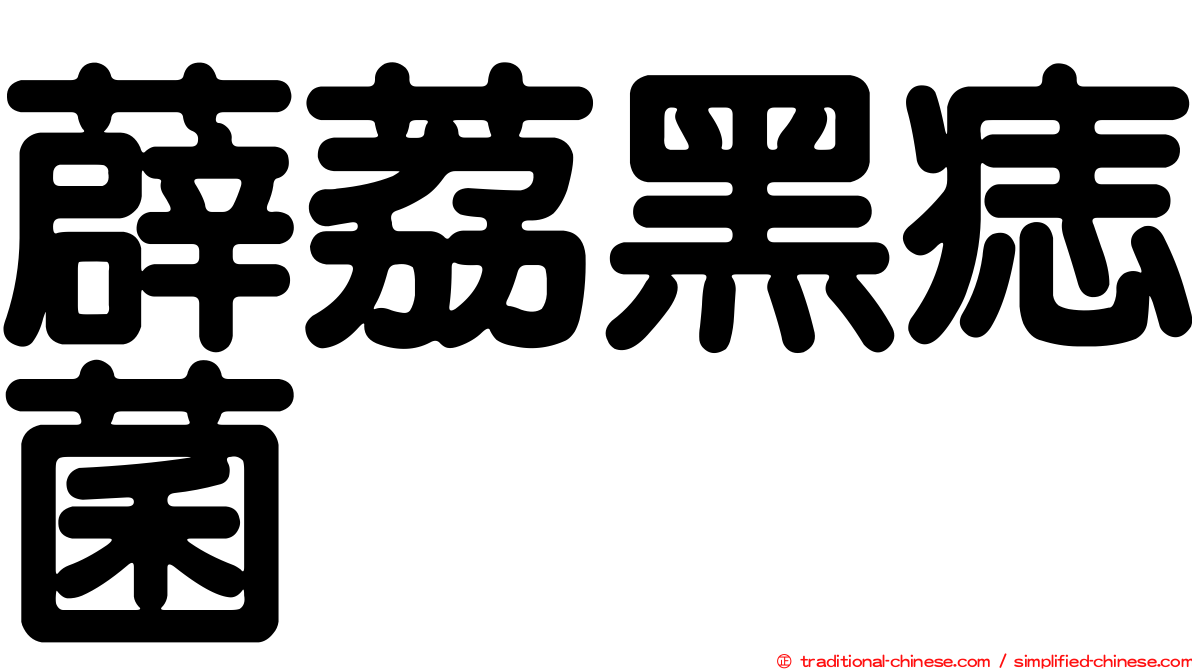 薜荔黑痣菌
