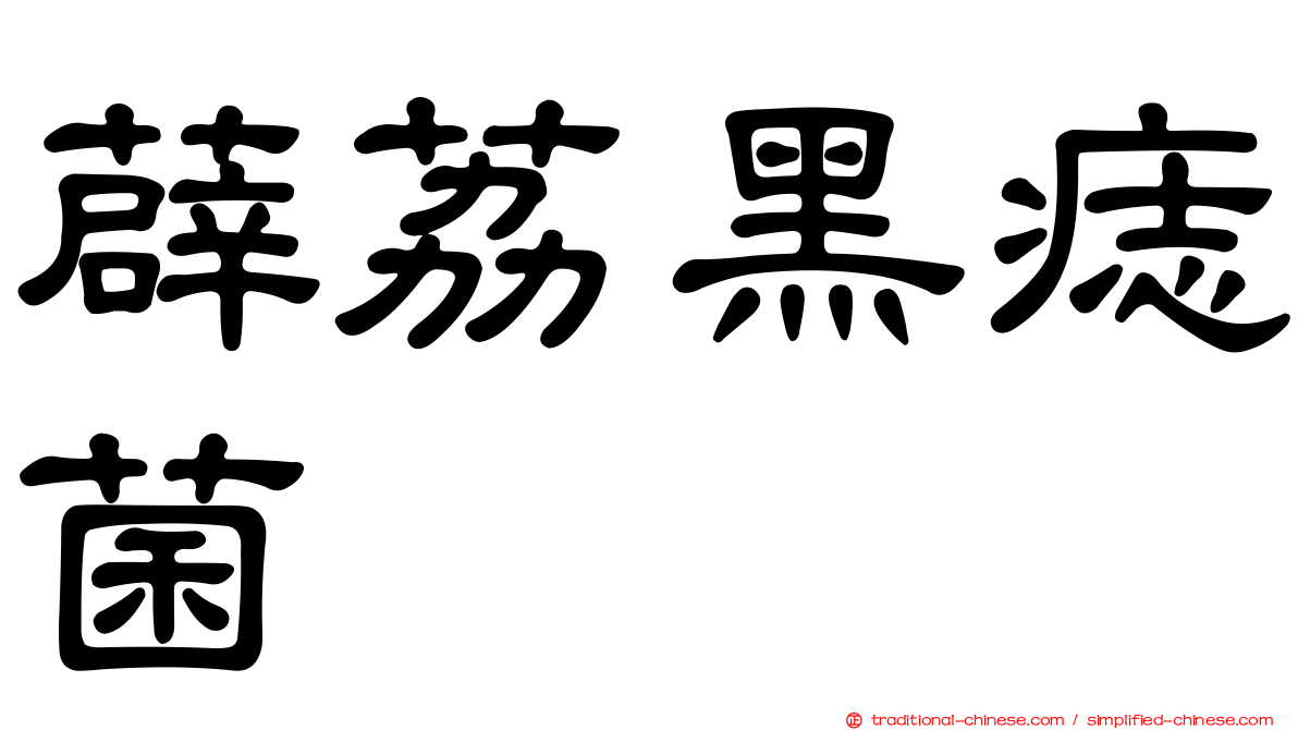 薜荔黑痣菌