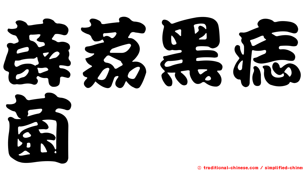 薜荔黑痣菌