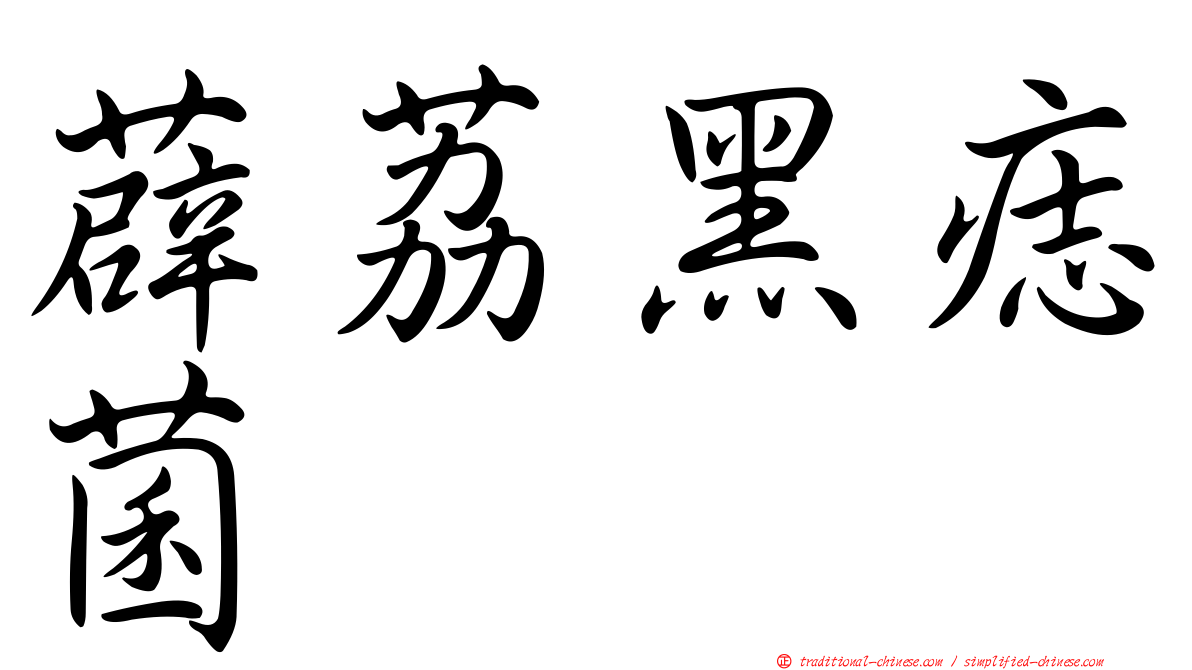 薜荔黑痣菌