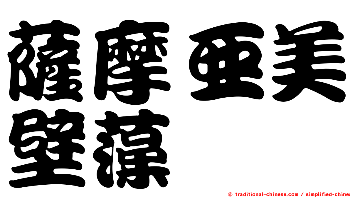 薩摩亞美壁藻