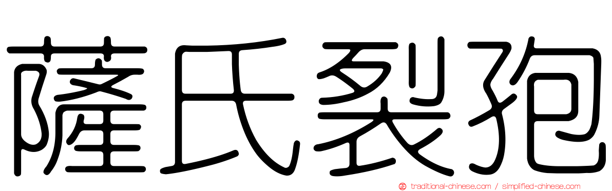 薩氏裂孢
