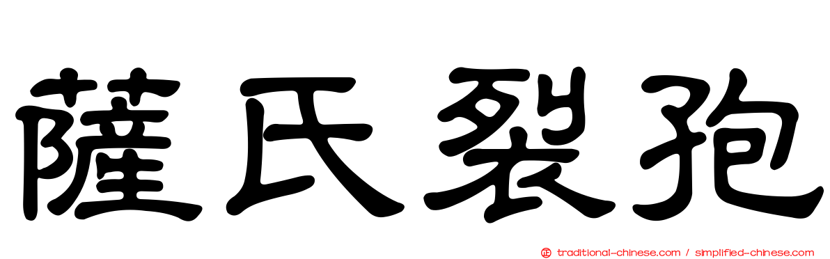 薩氏裂孢