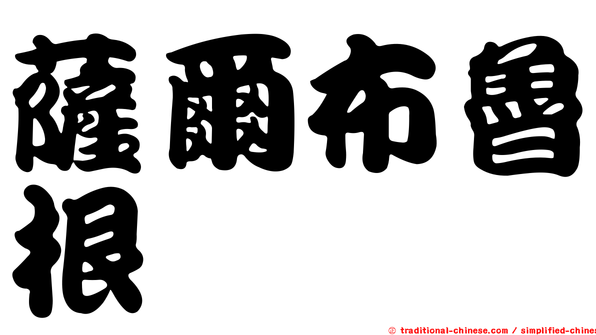 薩爾布魯根