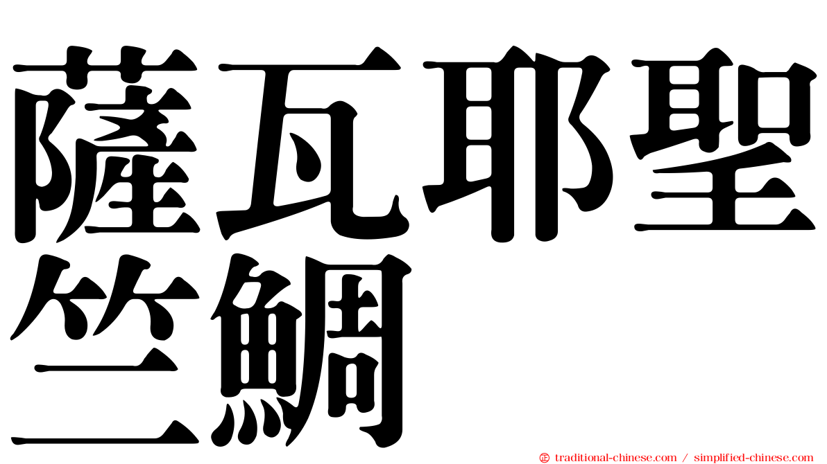薩瓦耶聖竺鯛