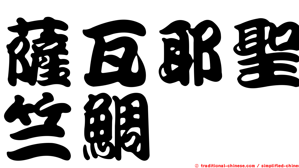 薩瓦耶聖竺鯛