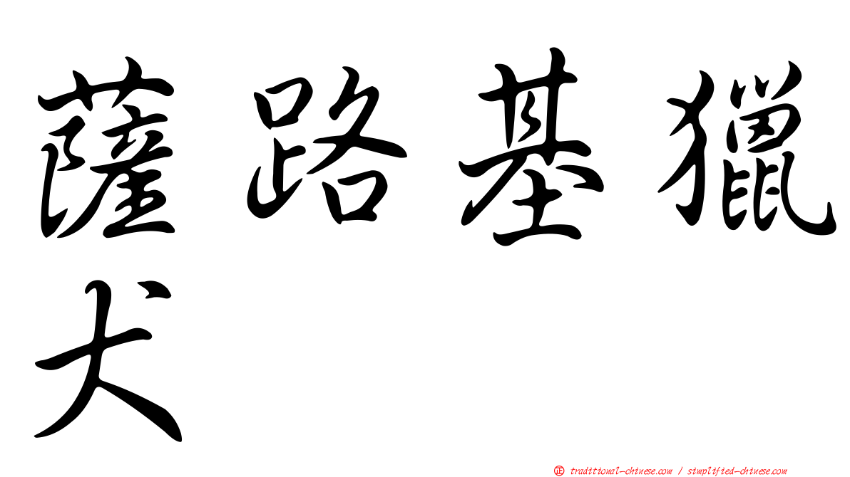 薩路基獵犬